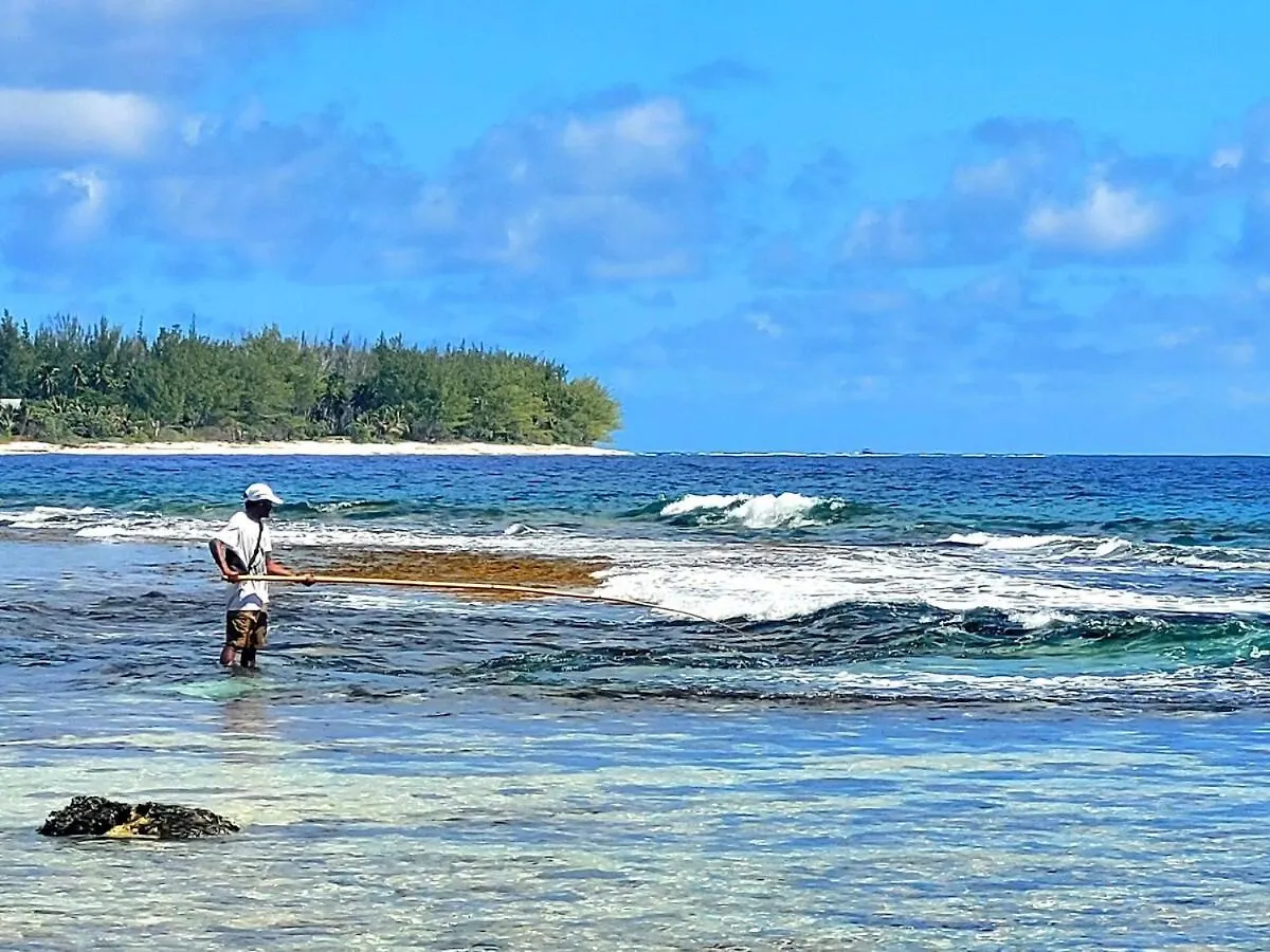 Un Ecrin De Paix Au Soleil Et Proche De La Mer Moorea
