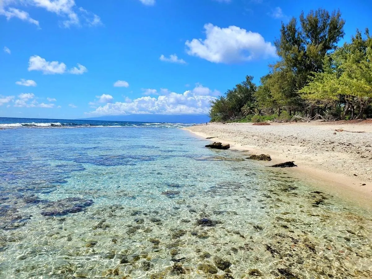 Un Ecrin De Paix Au Soleil Et Proche De La Mer Moorea French Polynesia